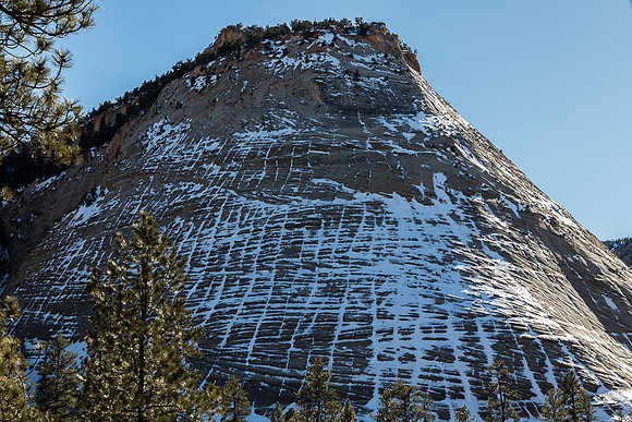 Zion Petrified Sand dune
