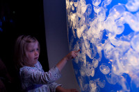 Girl and Jellyfish