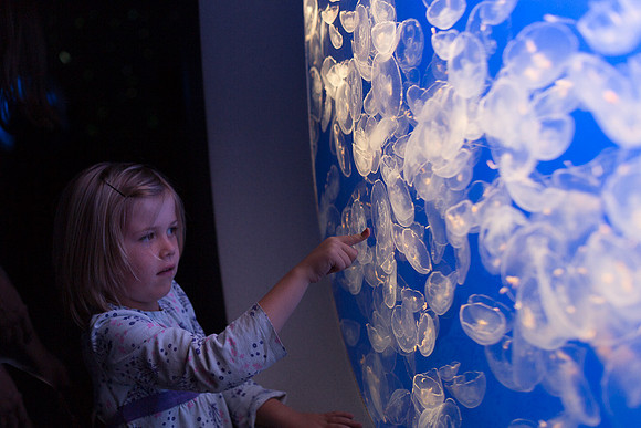 Girl and Jellyfish