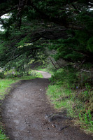 Garapata State Park Trail