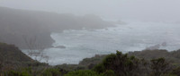 Foggy day at Garapata State Park