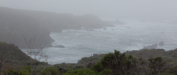 Foggy day at Garapata State Park