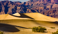 Dune and Shadow