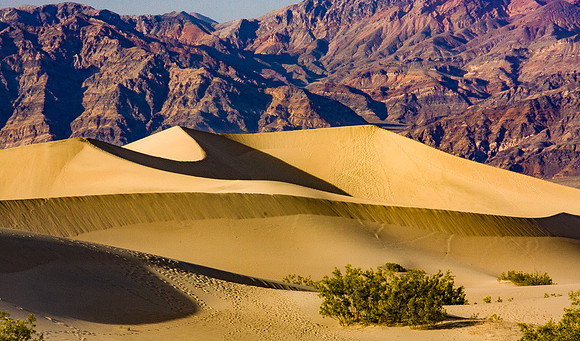 Dune and Shadow