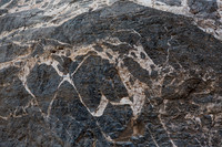 Titus Canyon Horse