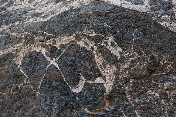 Titus Canyon Horse