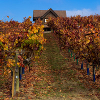 Sebastopol Farm House