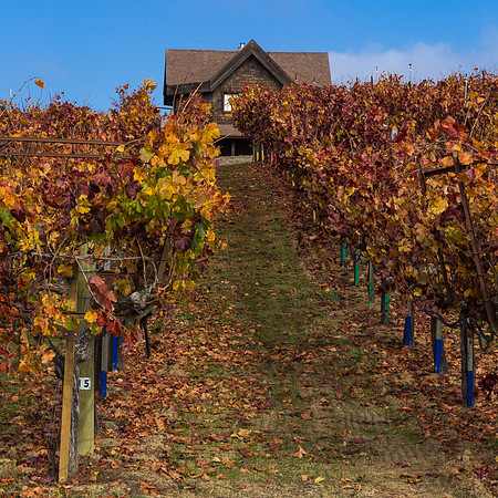Sebastopol Farm House