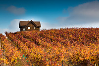 Sebastopol Farm House #2