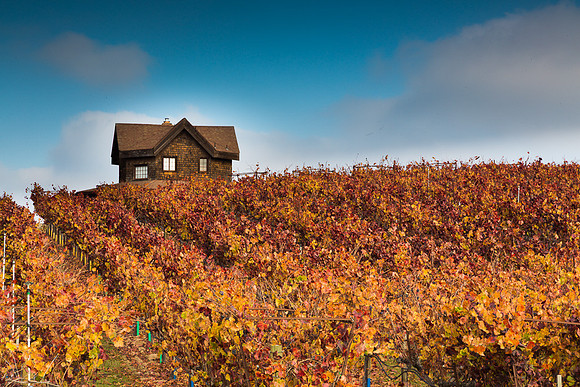 Sebastopol Farm House #2
