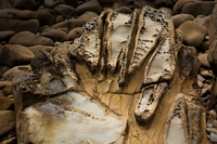 Tafoni Sandstone #1