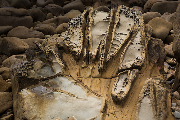 Tafoni Sandstone #1