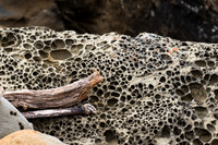 Tafoni Sandstone #3