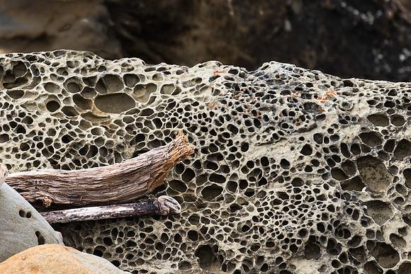 Tafoni Sandstone #3