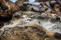 Tafoni Sandstone #5