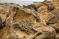 Tafoni Sandstone #7