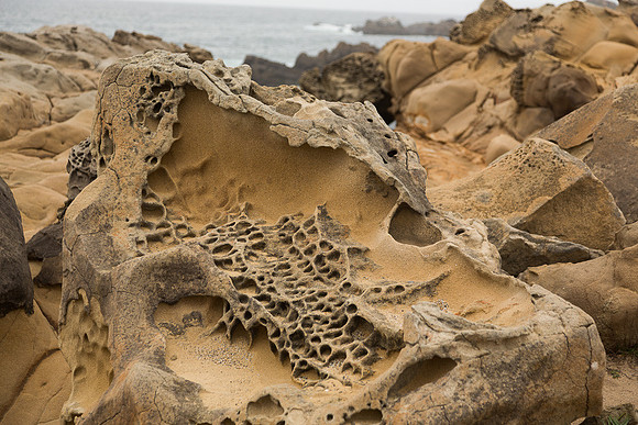 Tafoni Sandstone #7