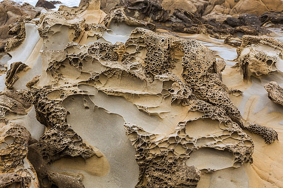 Tafoni Sandstone #8