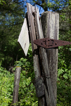 Gate Hinge