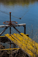 Levy valve, Sunnyvale, CA