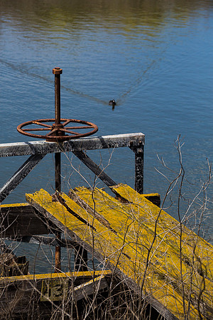 Levy valve, Sunnyvale, CA