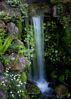 Hakone Waterfall