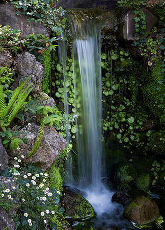 Hakone Waterfall