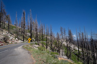 Burn area, Sequoia NP