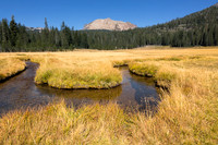 kings creek meadow - 02