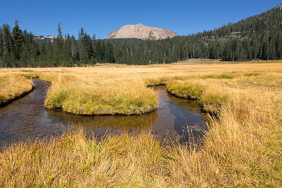 kings creek meadow - 02