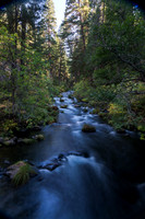 burney Creek #2