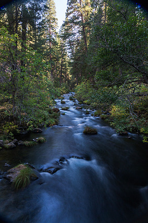 burney Creek #2