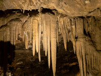 Shasta Caverns - 6