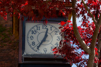 Red Maple leaves at 12:45