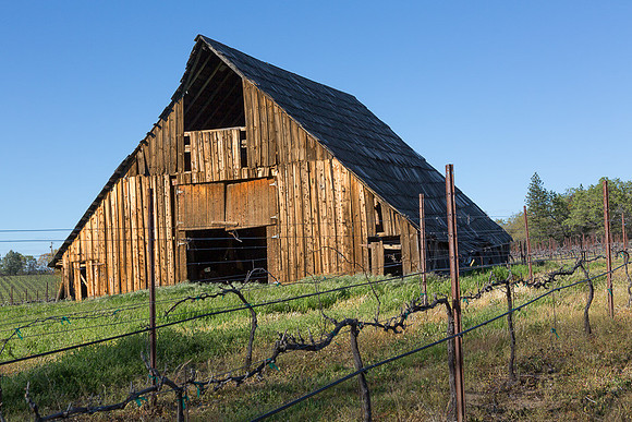 Barn at Busby Cellars #3