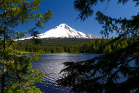 Mt. Hood and Lake Trillum 1