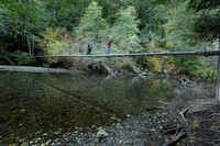 Suspension Bridge on Ohanapechosh River