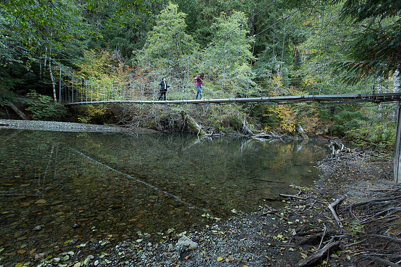 Suspension Bridge on Ohanapechosh River