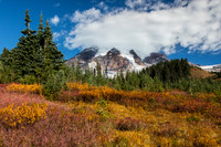 Mt. Rainier with fall color #1