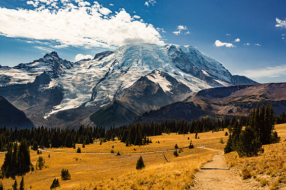 Mt. Rainier from Sunrise nature Trail