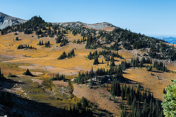 Fall Meadow from Sunrise Point