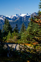 Hurricane Ridge #1