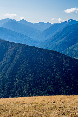 Valley by Hurricane Ridge