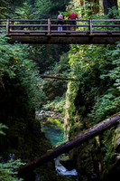 Bridge at Sol Duc Fall #2