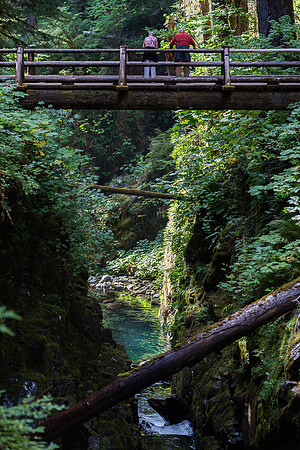 Bridge at Sol Duc Fall #2