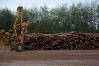 Log Yard