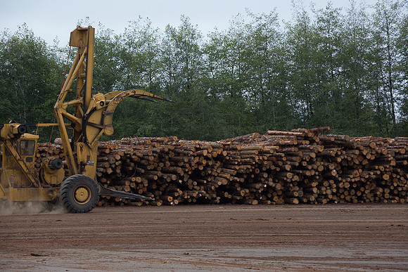 Log Yard
