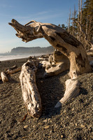 Rialto Beach Sunset Driftwood