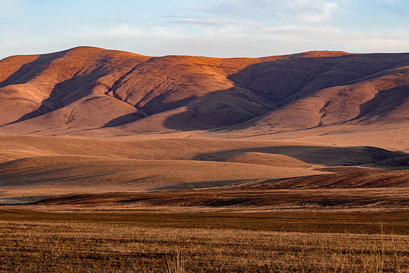 Palouse Hills #02