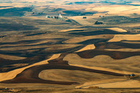 Palouse farmland #2